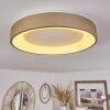 Charata Plafoniera LED Bianco, 1-Luce