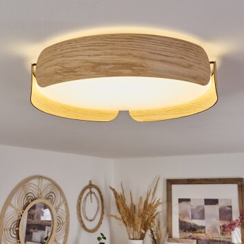 Fuscado Plafoniera LED Aspetto del legno, 1-Luce