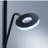 Fischer & Honsel Dent Lampada da terra LED Nero, 1-Luce