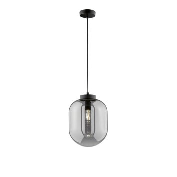 Fischer & Honsel Regi Lampada a Sospensione Nero, 1-Luce