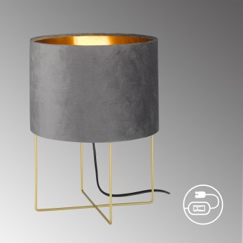 Fischer & Honsel Aura Lampada da tavolo Oro, 1-Luce