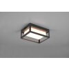 Trio Witham Applique da esterno LED Antracite, 1-Luce