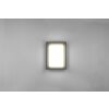 Trio Witham Applique da esterno LED Antracite, 1-Luce