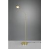 Trio Franklin Lampada da terra LED Ottone, 1-Luce