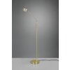 Trio Franklin Lampada da terra LED Ottone, 1-Luce