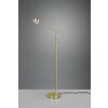 Trio Franklin Lampada da terra LED Ottone, 1-Luce