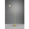 Trio Franklin Lampada da terra LED Ottone, 1-Luce