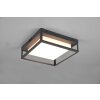 Trio Witham Plafoniera LED Antracite, 1-Luce