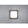 Trio Witham Plafoniera LED Antracite, 1-Luce