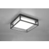 Trio Witham Plafoniera LED Antracite, 1-Luce