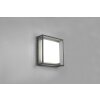 Trio Witham Plafoniera LED Antracite, 1-Luce