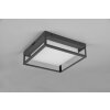 Trio Witham Plafoniera LED Antracite, 1-Luce