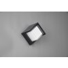 Reality Puno Applique da esterno LED Nero, 1-Luce