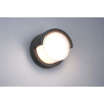 Reality Puno Applique da esterno LED Nero, 1-Luce