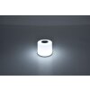 Lutec NOMA Set di 2 lampade solari LED Bianco, 2-Luci, Cambia colore