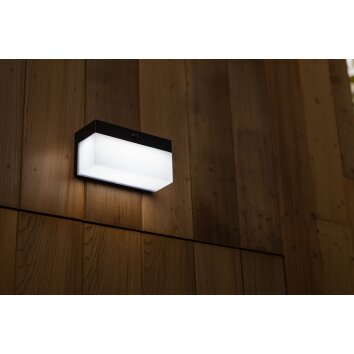 Lutec FRAN Applique da esterno LED Nero, 1-Luce, Sensori di movimento