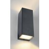 Lutec LUCA Applique da esterno LED Nero, 1-Luce