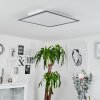 Wilderswil Plafoniera LED Bianco, 1-Luce