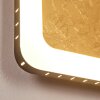 Guacacallo Applique LED Oro, Nero, Bianco, 1-Luce