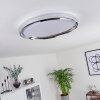 Alberton Plafoniera LED Cromo, Trasparente, chiaro, Bianco, 1-Luce