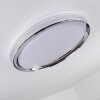 Alberton Plafoniera LED Cromo, Trasparente, chiaro, Bianco, 1-Luce