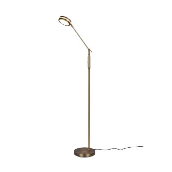 Trio Franklin Lampada da terra LED Ottone antico, 1-Luce