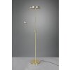 Trio Franklin Lampada da terra LED Ottone, 2-Luci