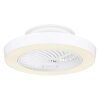 Globo DOMEY ventilatore da soffitto LED Bianco, 1-Luce, Telecomando