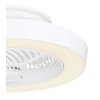 Globo DOMEY ventilatore da soffitto LED Bianco, 1-Luce, Telecomando