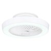 Globo DOMEY ventilatore da soffitto LED Bianco, 1-Luce, Telecomando