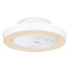 Globo DOMEY ventilatore da soffitto LED Bianco, 1-Luce, Telecomando