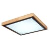 Globo BRUNO Plafoniera LED Bianco, 1-Luce