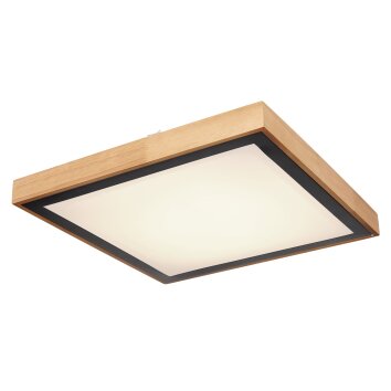 Globo BRUNO Plafoniera LED Bianco, 1-Luce