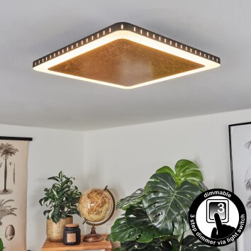 Guacacallo Plafoniera LED Oro, Nero, Bianco, 1-Luce