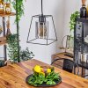 Ehtamo Lampadario a sospensione Nero, 1-Luce