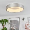 Playas Plafoniera LED Argento, Bianco, 1-Luce