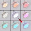 Marsen Plafoniera LED Cromo, Nichel opaco, 4-Luci, Telecomando, Cambia colore