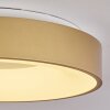 Playas Plafoniera LED Oro, Bianco, 1-Luce