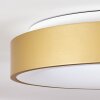 Playas Plafoniera LED Oro, Bianco, 1-Luce