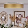 Playas Plafoniera LED Oro, Bianco, 1-Luce