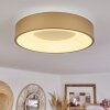 Playas Plafoniera LED Oro, Bianco, 1-Luce