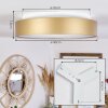 Playas Plafoniera LED Oro, Bianco, 1-Luce