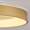 Playas Plafoniera LED Oro, Bianco, 1-Luce