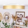 Playas Plafoniera LED Oro, Bianco, 1-Luce