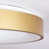 Playas Plafoniera LED Oro, Bianco, 1-Luce