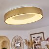 Playas Plafoniera LED Oro, Bianco, 1-Luce