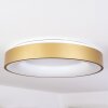 Playas Plafoniera LED Oro, Bianco, 1-Luce