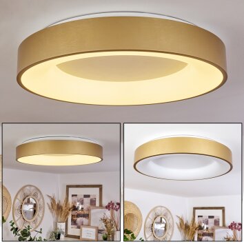 Playas Plafoniera LED Oro, Bianco, 1-Luce