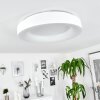 Playas Plafoniera LED Bianco, 1-Luce