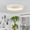 Playas Plafoniera LED Bianco, 1-Luce